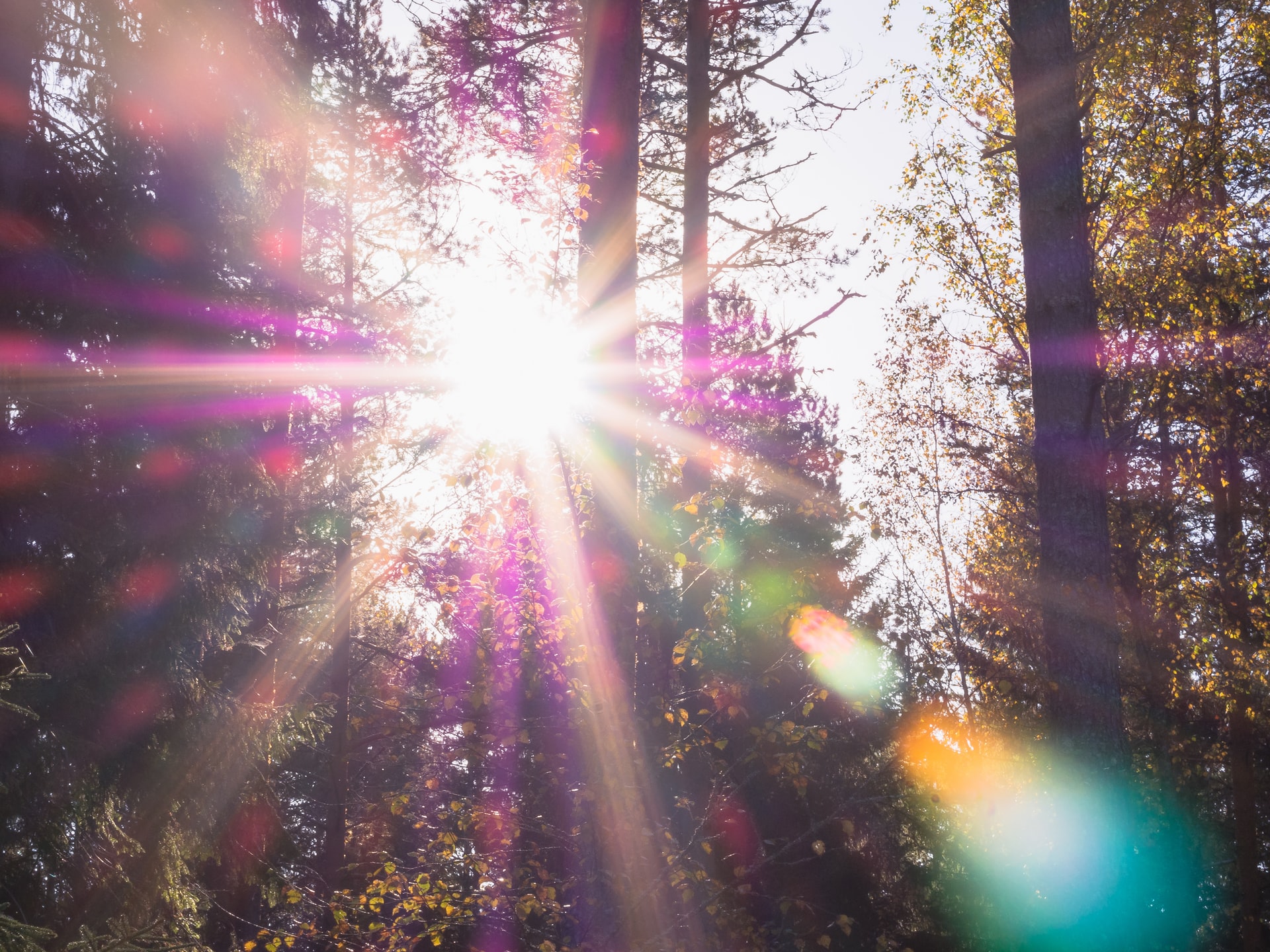 Taller Básico de Mindfulness: La magia de vivir en el  presente